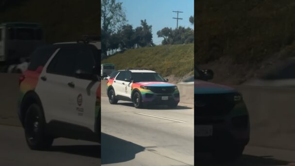 Do They Identify as Police Officers? LAPDQIA2SL++